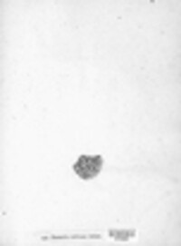 Parmelia subfusca image